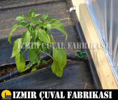 2,10 mt x 100 mt Taban Örtüsü - 1