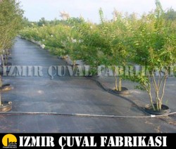 4.20 mt x 100 mt Taban Örtüsü - 5