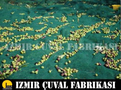 4x7 mt zeytin toplama filesi  seyrek tip - 2