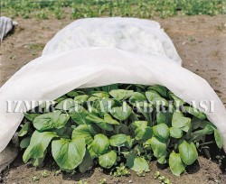Don Kırağı Örtüsü -Agril -6.40 x 150 mt  -30 gr/m2  - 12