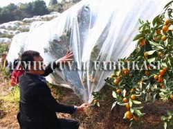 Don Kırağı Örtüsü -Agril -6.40 x 150 mt  -30 gr/m2  - 22