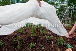 Don Kırağı Örtüsü -Agril -6.40 x 150 mt  -30 gr/m2  - 23
