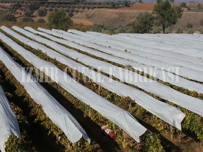 Don Kırağı Örtüsü -Agril -6.40 x 150 mt  -30 gr/m2  - 25