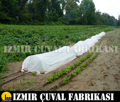 Don Kırağı Örtüsü -Agril -6.40 x 150 mt  -30 gr/m2  - 1