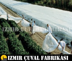 Don Kırağı Örtüsü -Agril -6.40 x 150 mt  -30 gr/m2  - 5