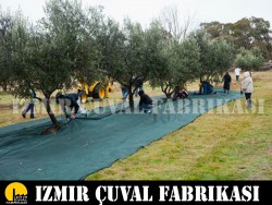 ZEYTİN TOPLAMA FİLESİ 1 TOP 5 X 100 MT - 9