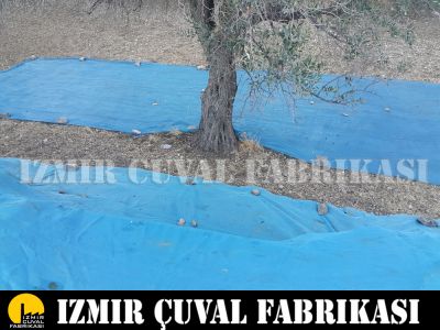 ZEYTİN TOPLAMA FİLESİ 1 TOP 6 X 100 MT - 3
