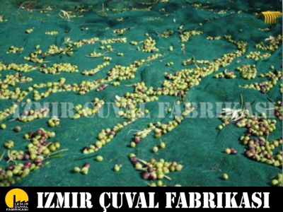 ZEYTİN TOPLAMA FİLESİ 1 TOP 6 X 100 MT - 11