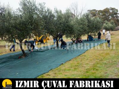 ZEYTİN TOPLAMA FİLESİ 1 TOP 6 X 100 MT - 1
